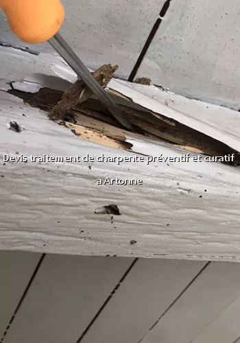 Devis traitement de charpente préventif et curatif  a Artonne
