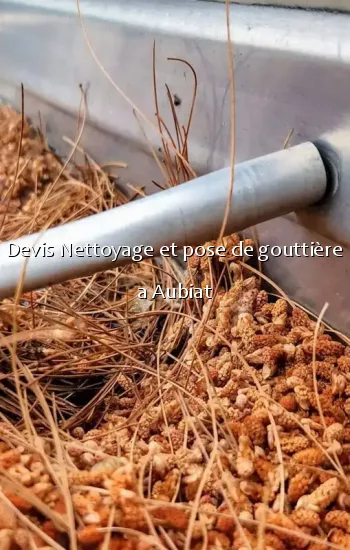 Devis Nettoyage et pose de gouttière a Aubiat