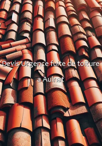 Devis Urgence fuite de toiture a Aulnat