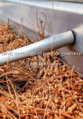 Devis Nettoyage et pose de gouttière a Bas Et Lezat