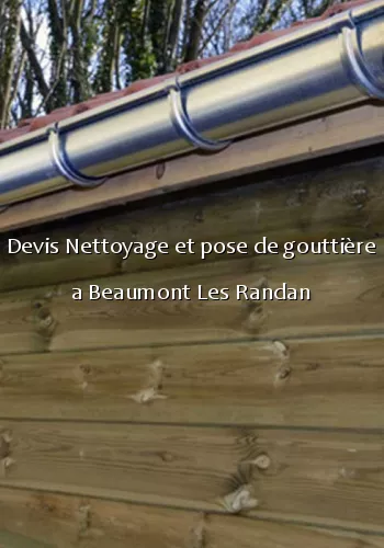 Devis Nettoyage et pose de gouttière a Beaumont Les Randan