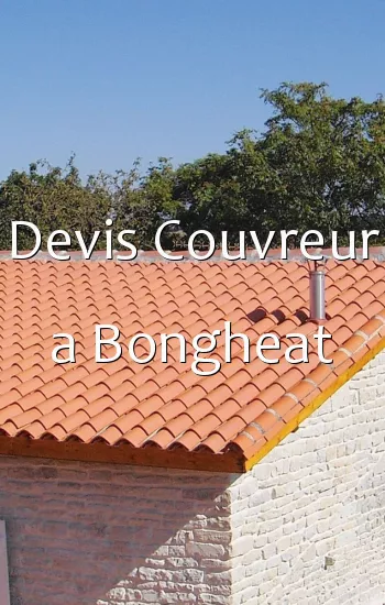 Devis Couvreur a Bongheat