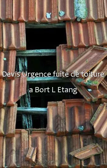 Devis Urgence fuite de toiture a Bort L Etang