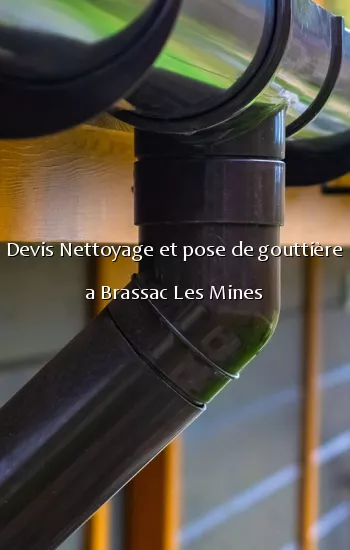 Devis Nettoyage et pose de gouttière a Brassac Les Mines