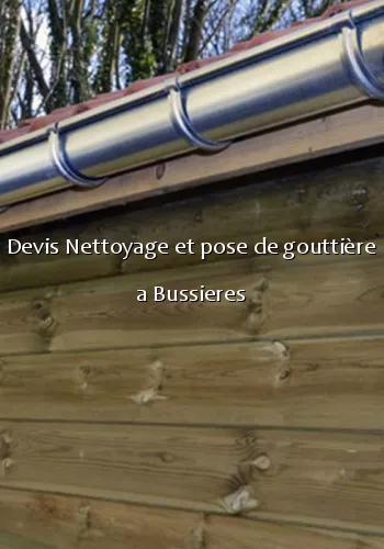 Devis Nettoyage et pose de gouttière a Bussieres