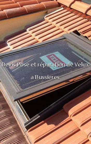 Devis Pose et réparation de Velux a Bussieres