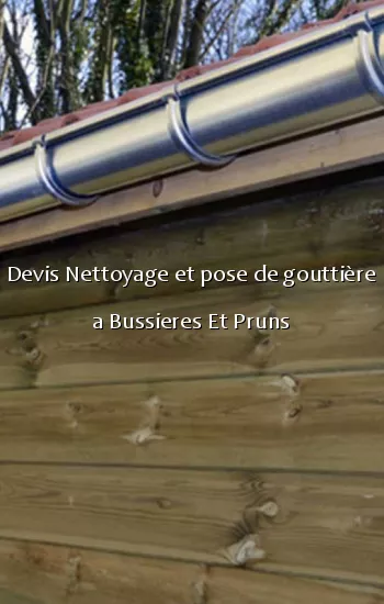 Devis Nettoyage et pose de gouttière a Bussieres Et Pruns