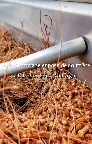 Devis Nettoyage et pose de gouttière a Buxieres Sous Montaigut