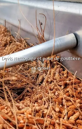 Devis Nettoyage et pose de gouttière a Ceyssat