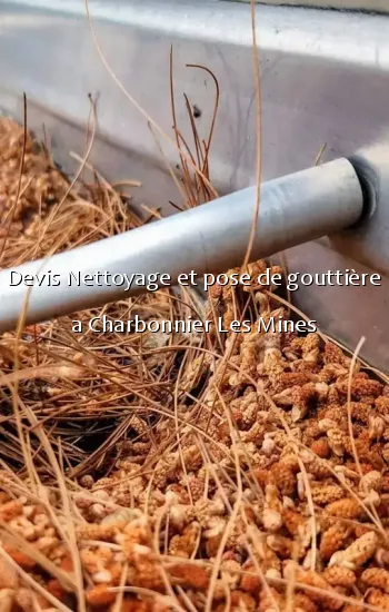 Devis Nettoyage et pose de gouttière a Charbonnier Les Mines