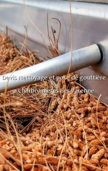 Devis Nettoyage et pose de gouttière a Charbonnieres Les Varenne