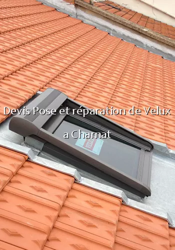 Devis Pose et réparation de Velux a Charnat