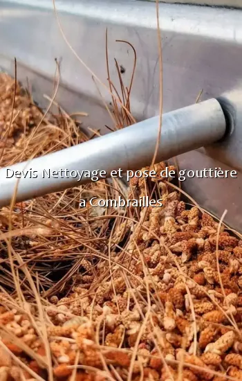 Devis Nettoyage et pose de gouttière a Combrailles