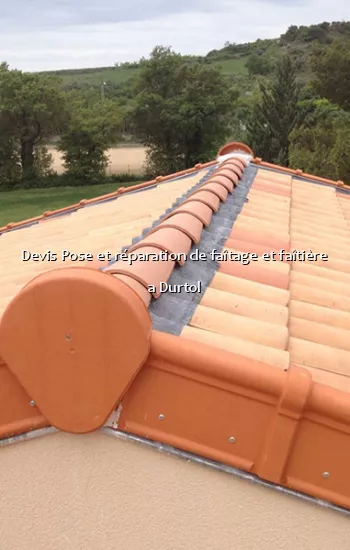 Devis Pose et réparation de faîtage et faîtière a Durtol