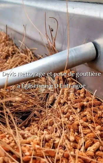 Devis Nettoyage et pose de gouttière a Egliseneuve D Entraigue