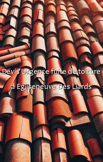 Devis Urgence fuite de toiture a Egliseneuve Des Liards
