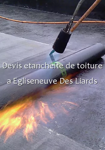 Devis etancheite de toiture a Egliseneuve Des Liards