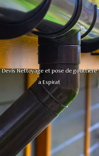 Devis Nettoyage et pose de gouttière a Espirat
