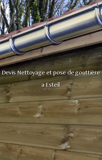 Devis Nettoyage et pose de gouttière a Esteil
