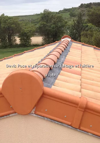 Devis Pose et réparation de faîtage et faîtière a Job