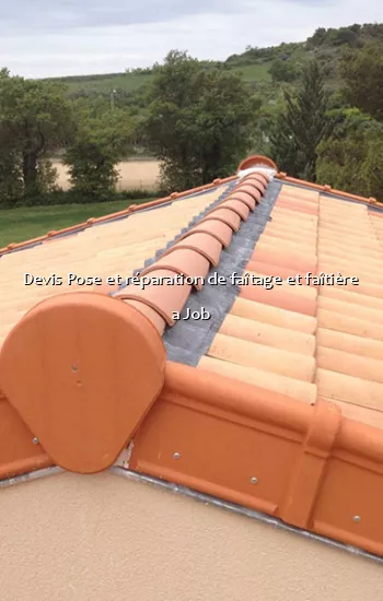 Devis Pose et réparation de faîtage et faîtière a Job