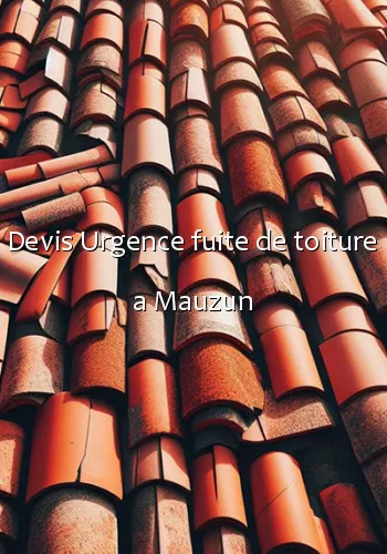 Devis Urgence fuite de toiture a Mauzun