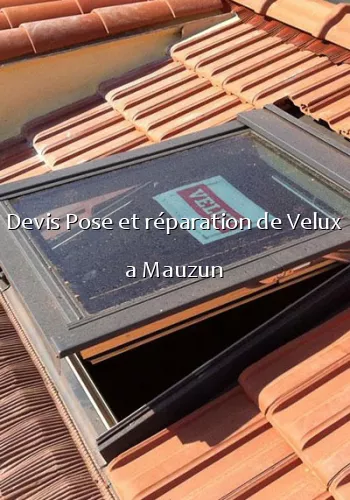 Devis Pose et réparation de Velux a Mauzun