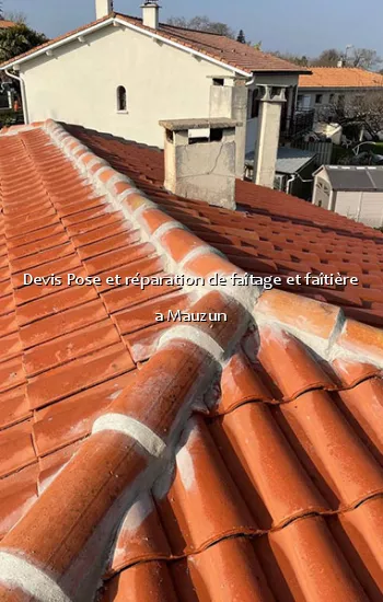 Devis Pose et réparation de faîtage et faîtière a Mauzun