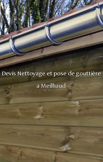 Devis Nettoyage et pose de gouttière a Meilhaud
