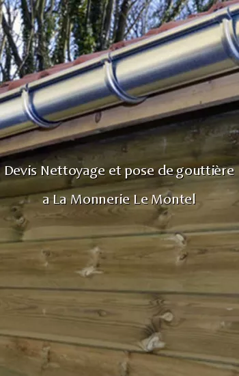 Devis Nettoyage et pose de gouttière a La Monnerie Le Montel