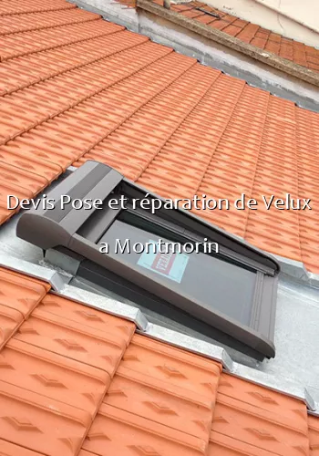 Devis Pose et réparation de Velux a Montmorin