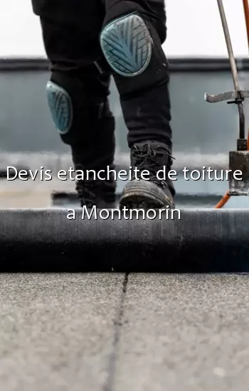 Devis etancheite de toiture a Montmorin