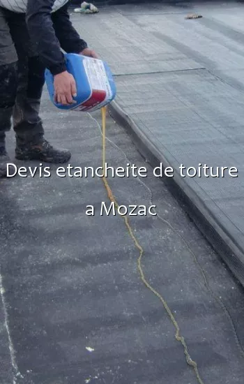 Devis etancheite de toiture a Mozac