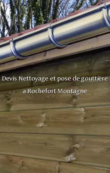 Devis Nettoyage et pose de gouttière a Rochefort Montagne