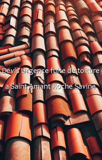 Devis Urgence fuite de toiture a Saint Amant Roche Savine