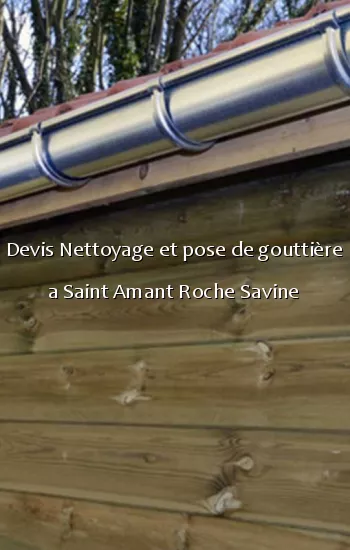 Devis Nettoyage et pose de gouttière a Saint Amant Roche Savine