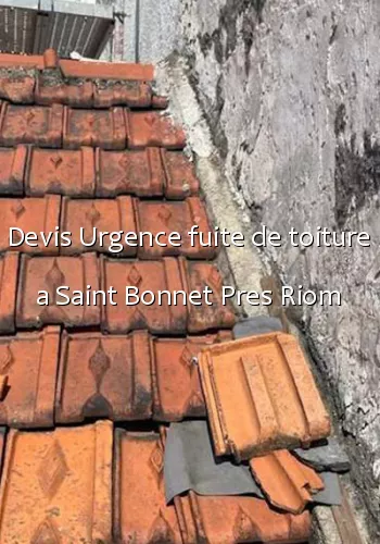 Devis Urgence fuite de toiture a Saint Bonnet Pres Riom