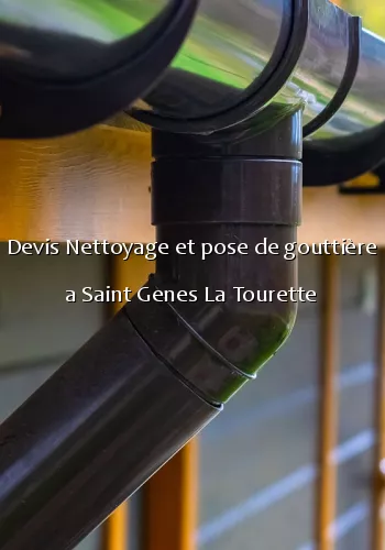 Devis Nettoyage et pose de gouttière a Saint Genes La Tourette