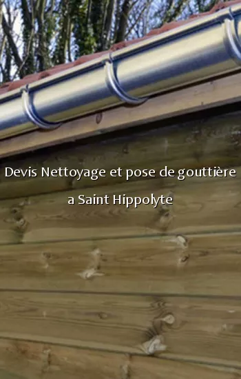 Devis Nettoyage et pose de gouttière a Saint Hippolyte