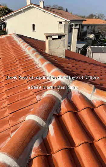 Devis Pose et réparation de faîtage et faîtière a Saint Martin Des Plains