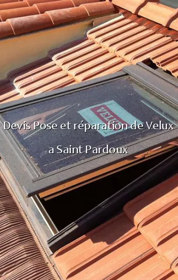 Devis Pose et réparation de Velux a Saint Pardoux