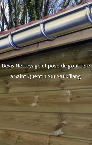 Devis Nettoyage et pose de gouttière a Saint Quentin Sur Sauxillang
