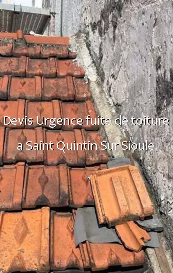 Devis Urgence fuite de toiture a Saint Quintin Sur Sioule