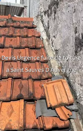Devis Urgence fuite de toiture a Saint Sauves D Auvergne