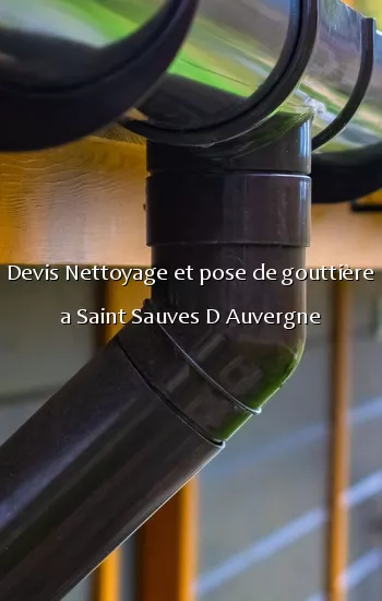 Devis Nettoyage et pose de gouttière a Saint Sauves D Auvergne