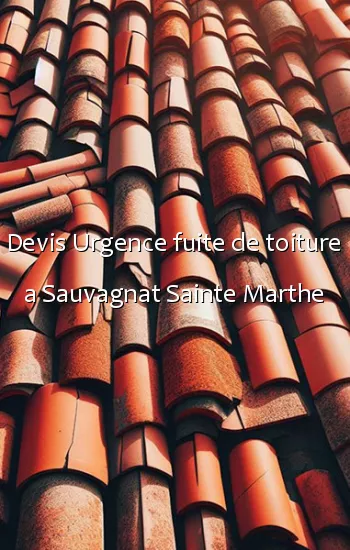 Devis Urgence fuite de toiture a Sauvagnat Sainte Marthe
