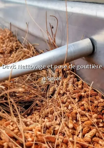 Devis Nettoyage et pose de gouttière a Sayat