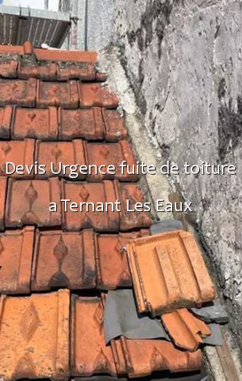 Devis Urgence fuite de toiture a Ternant Les Eaux