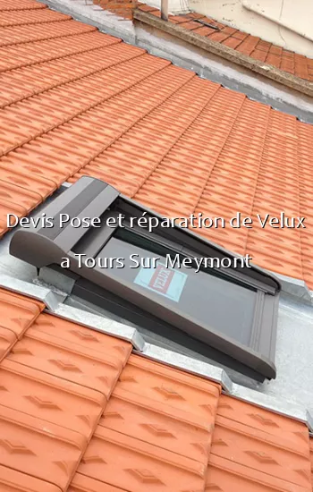 Devis Pose et réparation de Velux a Tours Sur Meymont