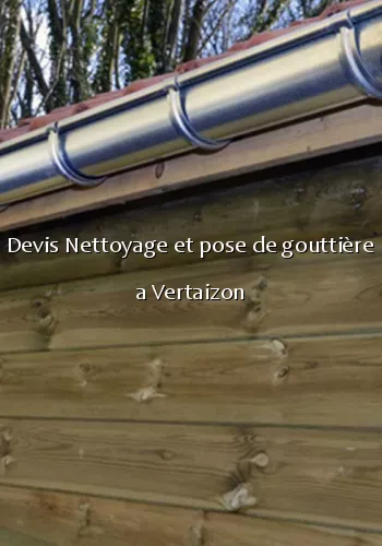 Devis Nettoyage et pose de gouttière a Vertaizon